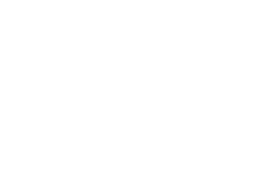 Programmany ýükle