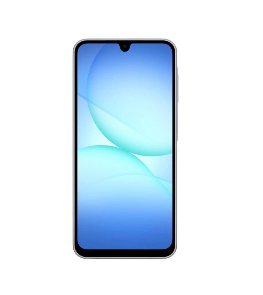 Smartfon Samsung A17 6/128 GB Gray, Logo