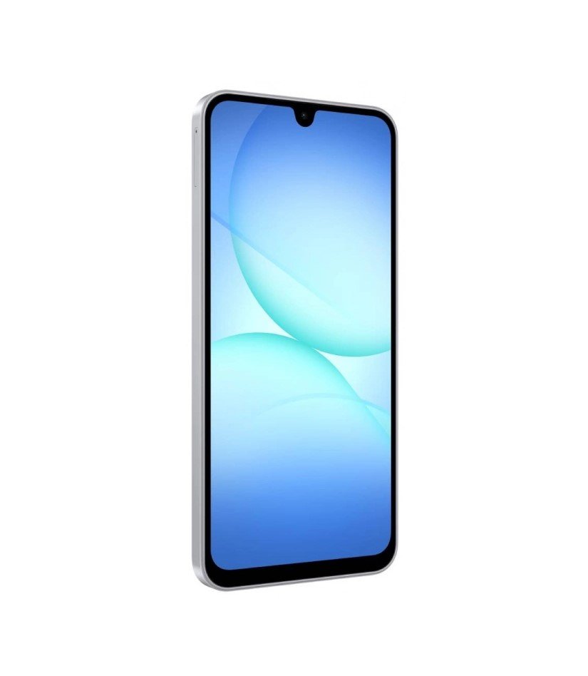 Smartfon Samsung A17 6/128 GB Gray, Logo