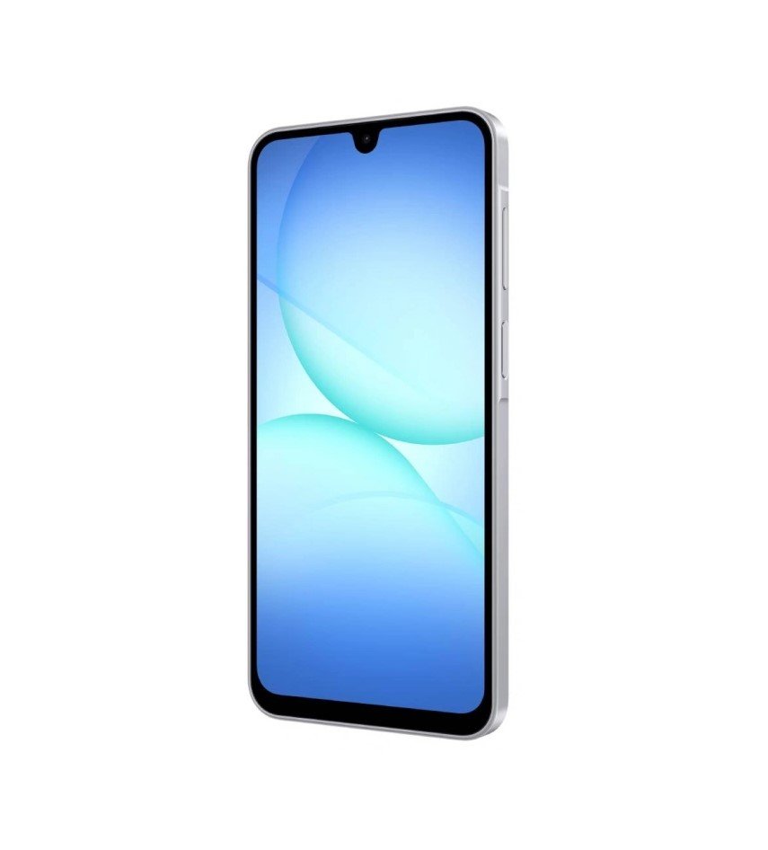 Smartfon Samsung A17 6/128 GB Gray, Logo